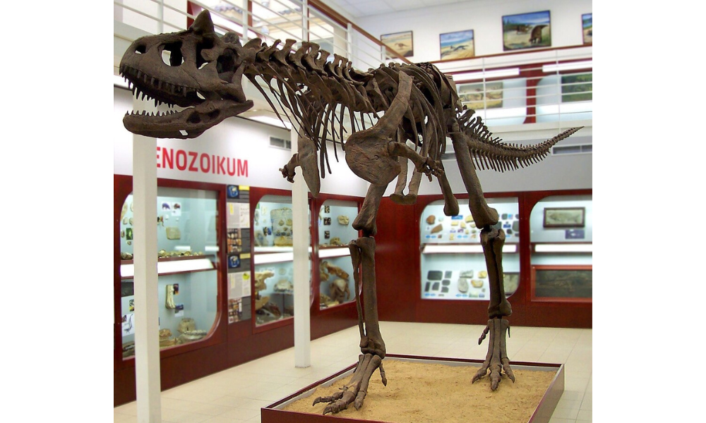Dinosaurios argentinos: Carnotaurus