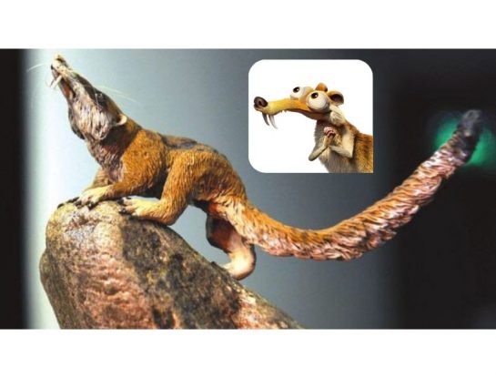 La curiosa ardilla argentina que se parecía a la que participa en la película "La era del hielo"