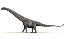 Dinosaurios argentinos: Argentinosaurs