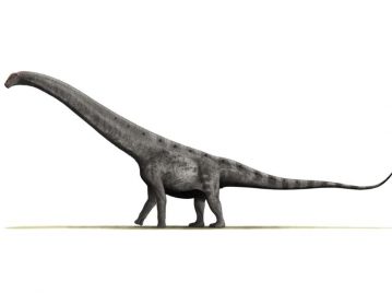 Dinosaurios argentinos: Argentinosaurs