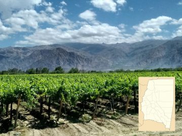 Primer vino de Argentina - Santiago del Estero