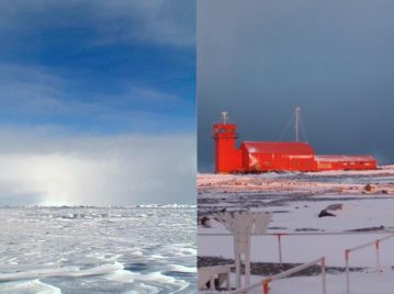 ártico y antártico