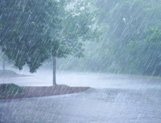 ¿Cuál fue y cuánto duró la lluvia más larga de la historia?