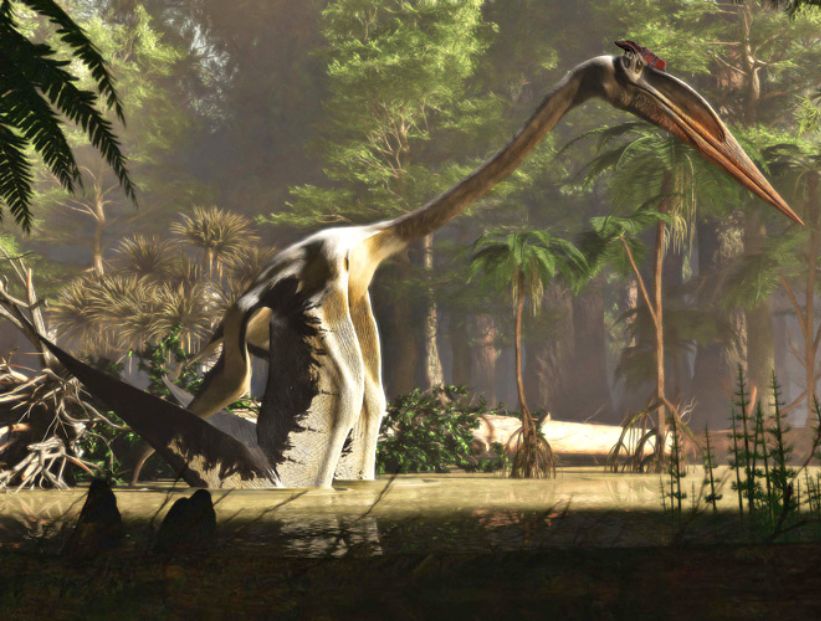 Quetzalcoatlus - Animal volador más grande de la prehistoria