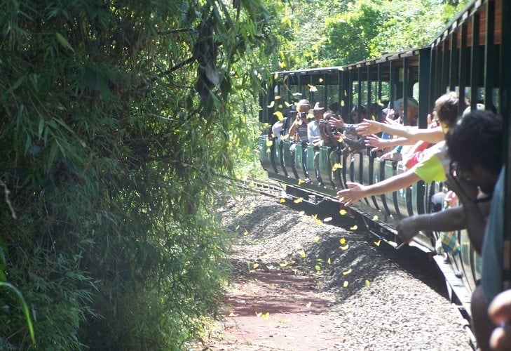 Turistas disfrutando del Tren Ecológico de la Selva.