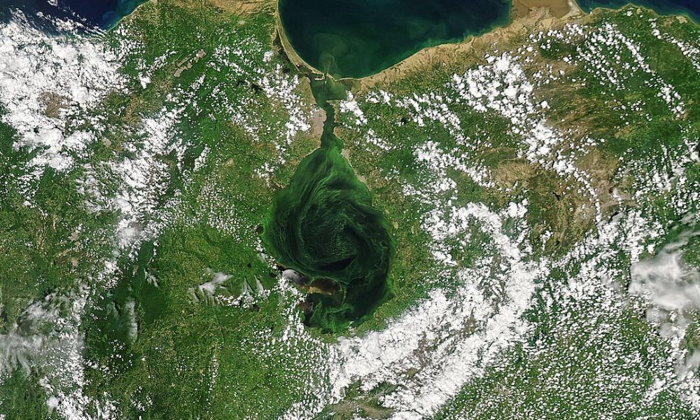 Vista satelital del lago más grande de Latinoamérica. 