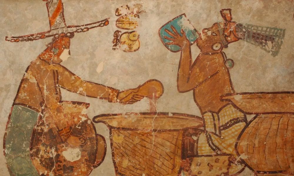 Cultura maya - Cacao utilizado para la bebida espiritual
