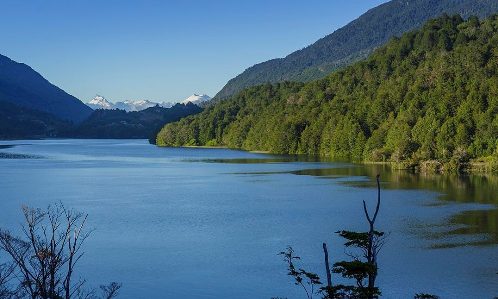 Otros paisajes del Parque Nacional Queulat de Chile. 