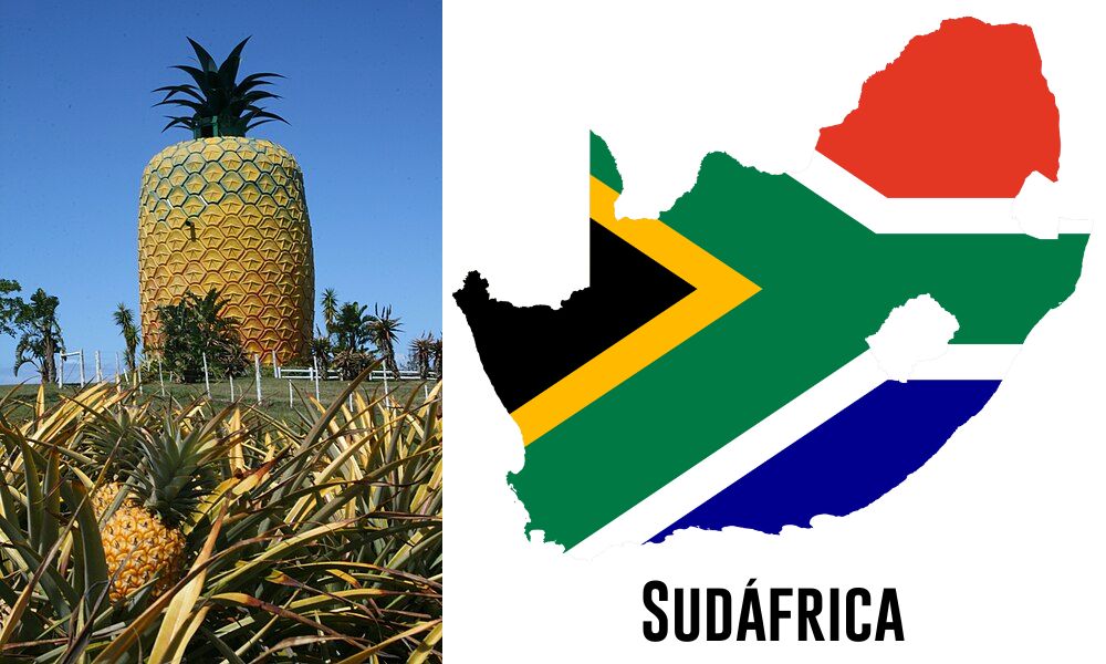 Big Pineapple - Edificio en Sudáfrica
