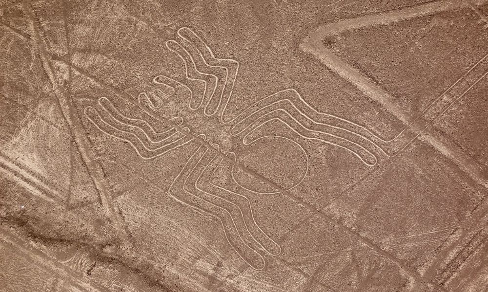 Líneas de Nazca en Perú, figura de la araña