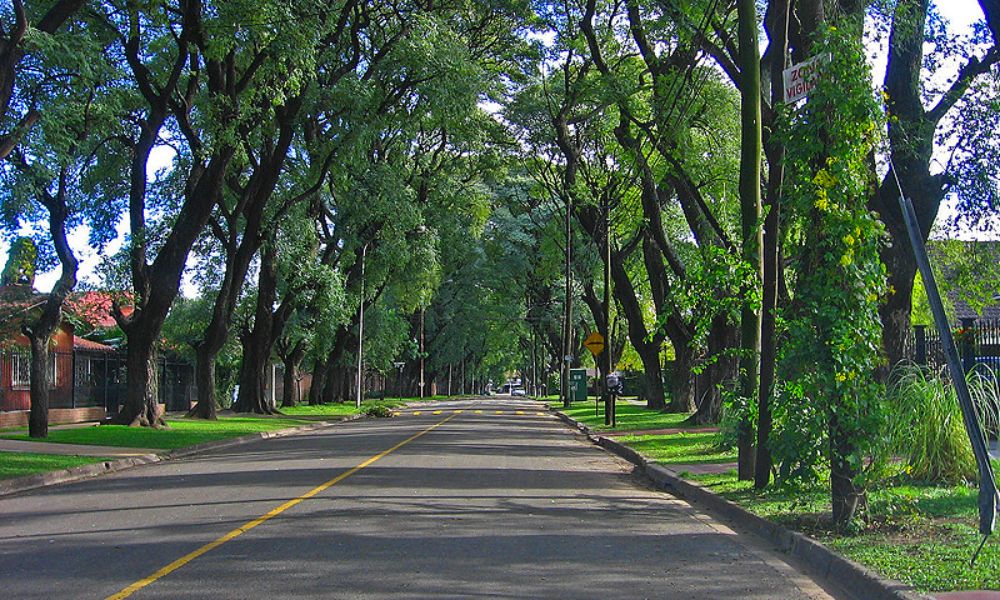 Calle brotada de árboles en la primera ciudad jardín - Provincia de Buenos Aires, Argentina