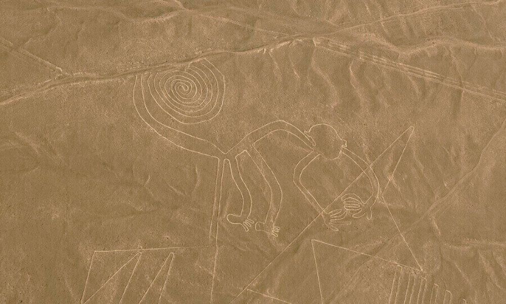 Líneas de Nazca en Perú, figura del mono