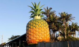 Big Pineapple: el edificio con forma de piña más grande del mundo ...