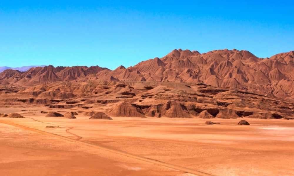 Puna de Atacama - Chile y Argentina