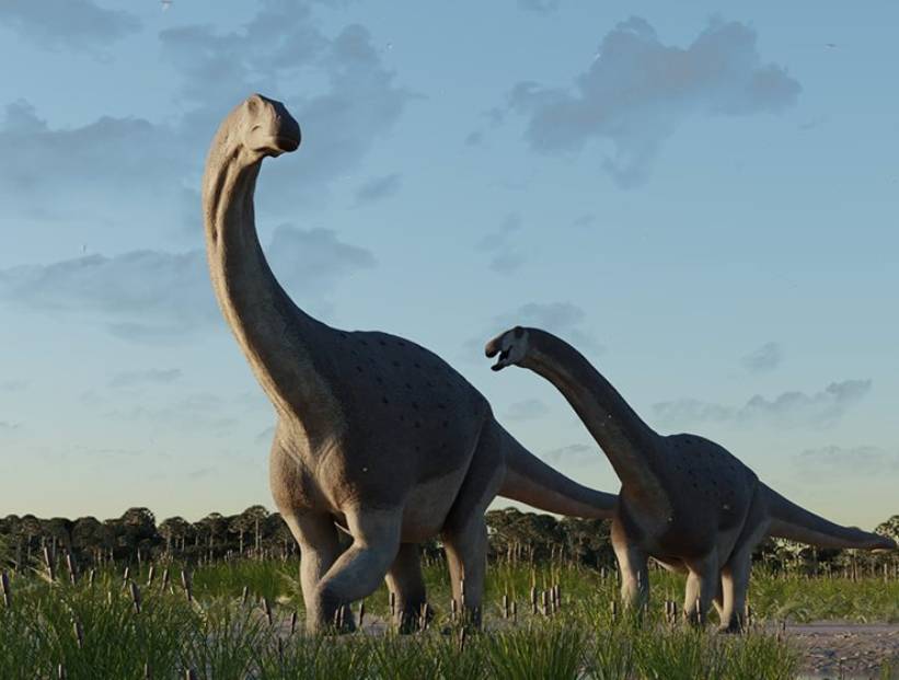 Titanomachya gimenezi - titanosaurio de Chubut encontrada por paleontólogos del CONICET