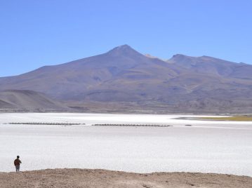 Puna de Atacama - Salta, Argentina