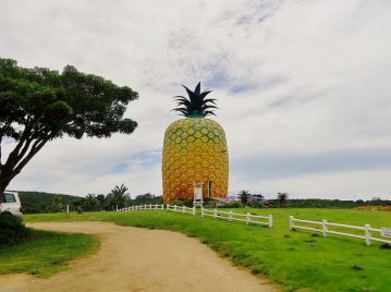 Big Pineapple - Sudáfrica, edificio con forma de piña más grande del mundo