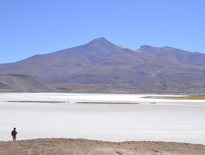 Puna de Atacama - Salta, Argentina