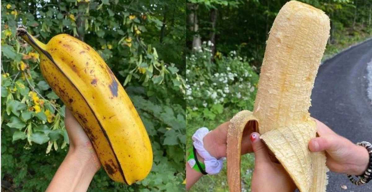 ¿Alguna vez probaste la banana Hua Moa? Billiken