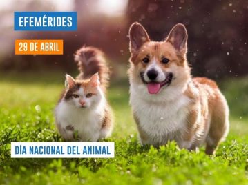29 de abril - Día Nacional del Animal
