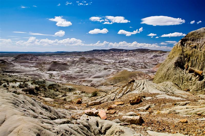 Paisajes del bosque petrificado más grande del mundo.