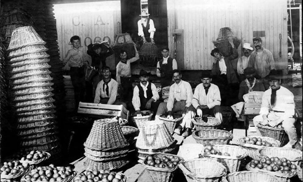 Mercado de frutos en Tigre. 1902.
