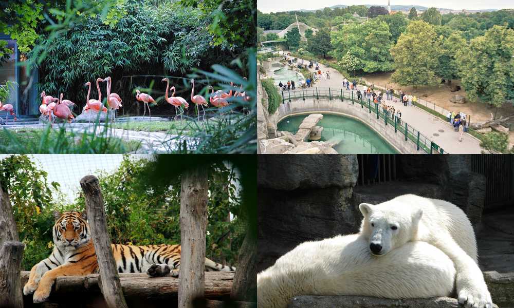 El zoológico más antiguo del mundo está en Viena