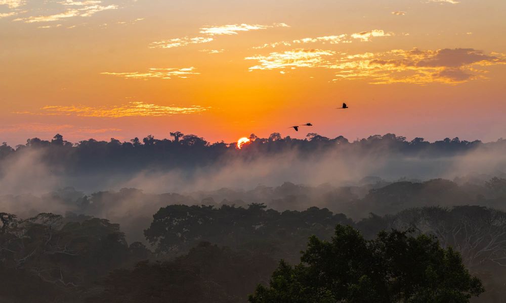 Vistas desde la casa de Alta Sanctuary - Amazonas, Perú