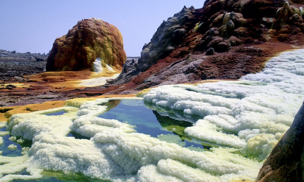 Naturaleza en el lugar más caluroso del mundo. 