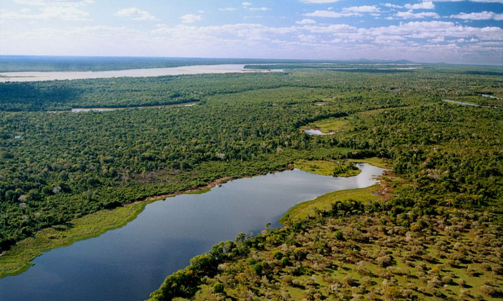 Vista aérea de la isla fluvial más grande del mundo. 