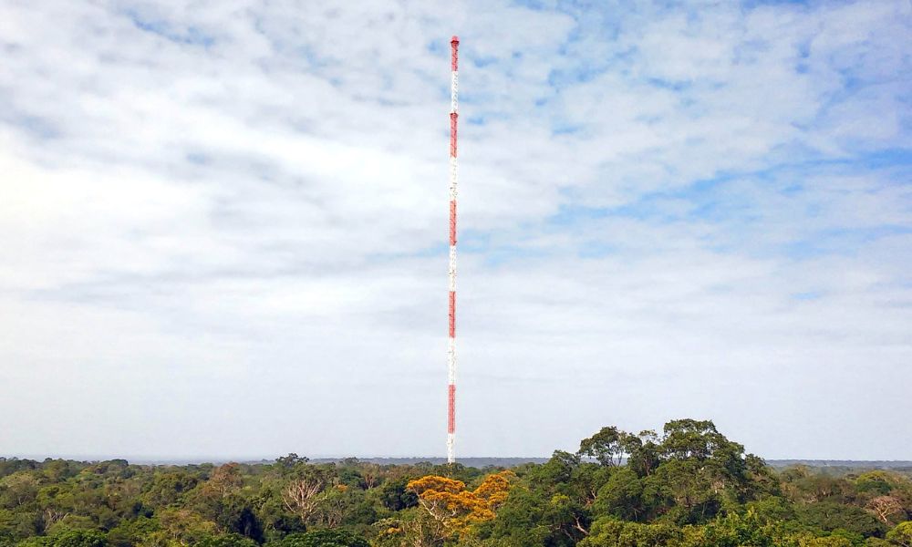 Vista panorámica de la Torre Alta del Amazonas.