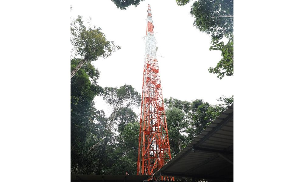 Aspecto de la Torre Alta del Amazonas.