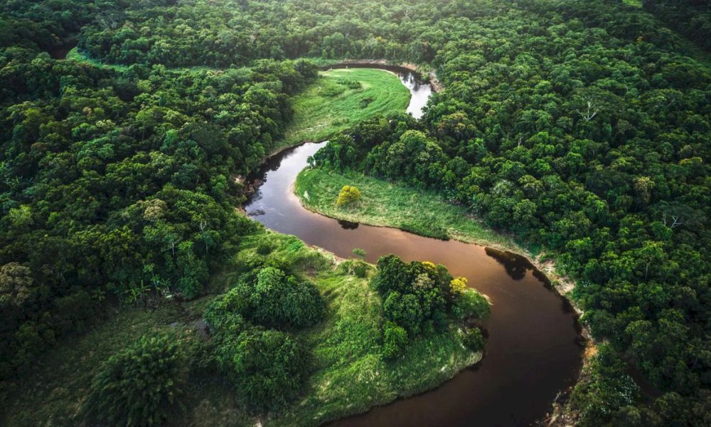 Amazonas - Bosque tropical más grande del mundo, en Brasil