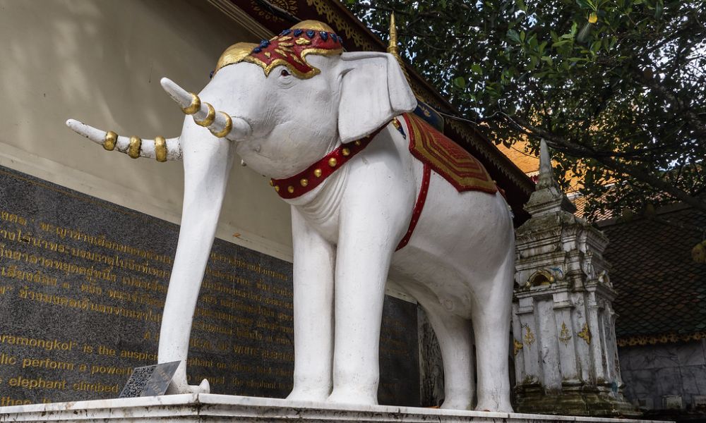 Elefante blanco a la entrada de Wat Phra That