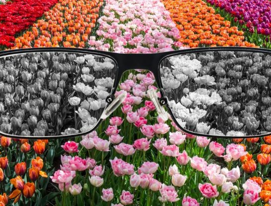 ¿Qué es el daltonismo y cómo afecta a la vista?