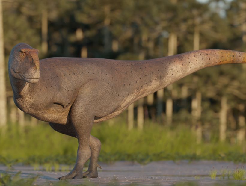 Koleken inakayali, el nuevo dinosaurio de Chubut - CONICET