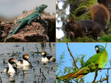 Día Internacional de la Diversidad Biológica - 22 de mayo
