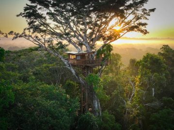 La casa del árbol más alta del Amazonas