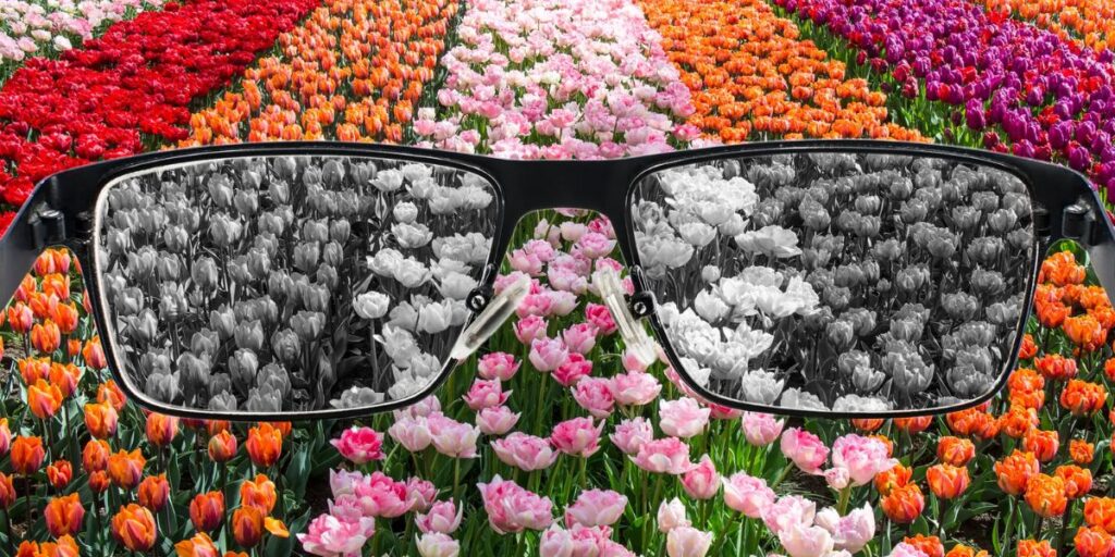 Acromatopsia, la alteración que no permite ver los colores