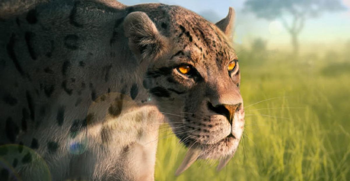 Smilodon, el increíble tigre dientes de sable que habitó en América