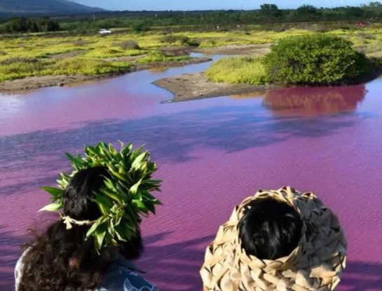 ¿Por qué Hawái tiene un estanque de agua rosa?