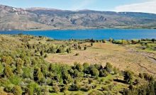 lago-rosario