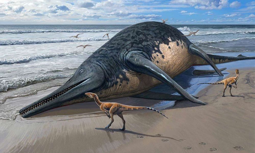 Ichthyotitan severnensis, uno de los animales marinos más grandes de la historia