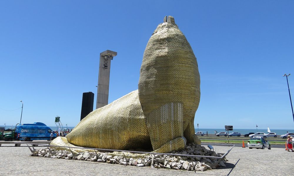 Lobo marino revestido con envases de alfajores. 