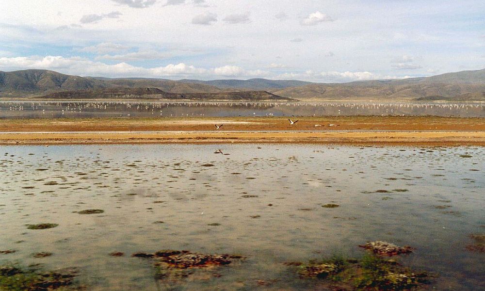 Paisajes del lago Poopó.