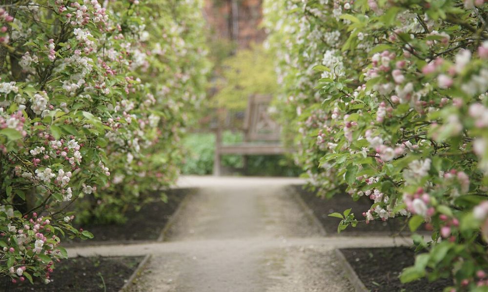 Pasillos del Jardín de Alnwick.