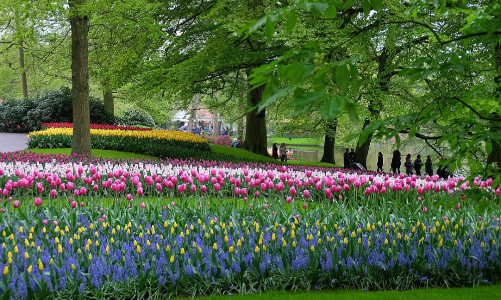 Predio del jardín Keukenhof. 