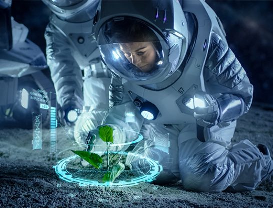 ¿Las plantas de nuestro planeta pueden crecer en Marte?