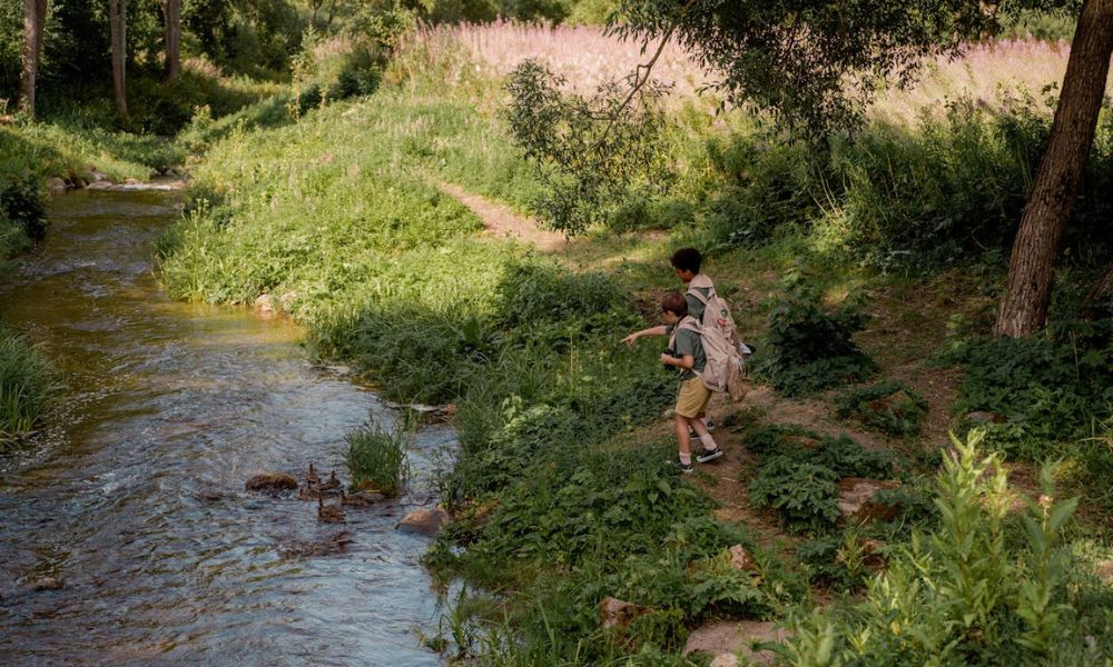 Modelo educativo que combina aprendizaje y naturaleza - Dinamarca