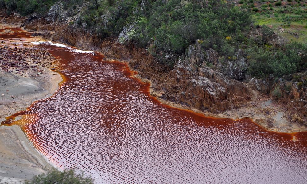 Aspecto del río Tinto.